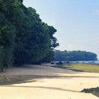 Andaman and Nicobar