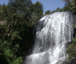 Bear Shola Falls