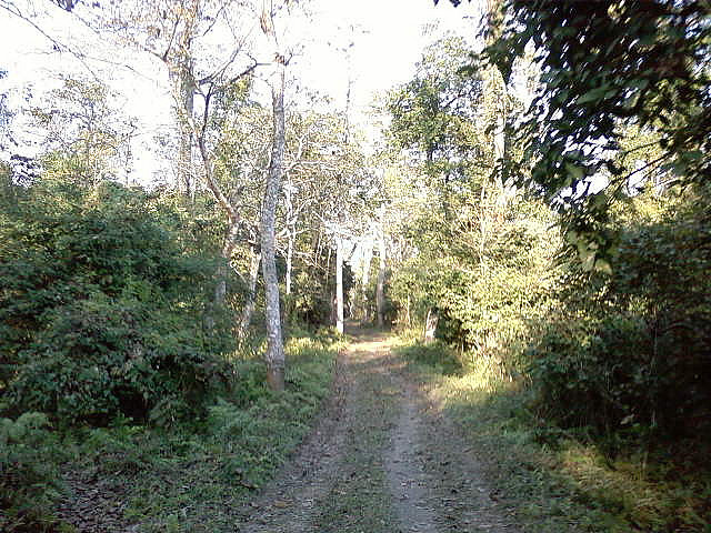 Bura-Chapori Wildlife Sanctuary