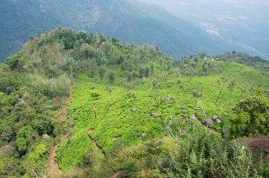 Coonoor