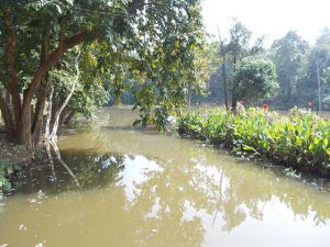 Hazaribagh national park