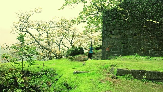 Karnala Bird Sanctuary