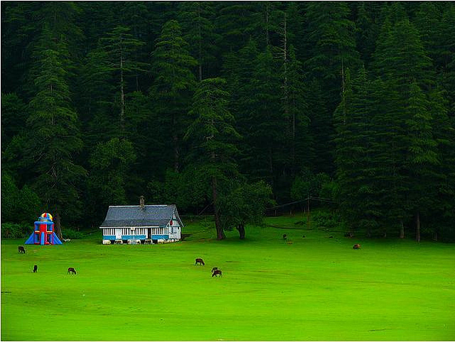 Khajjiar Trek