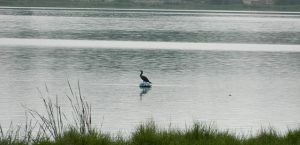 Kukkaranahalli Lake