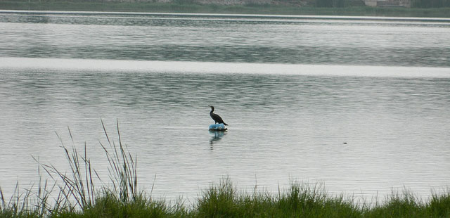 Kukkaranahalli Lake