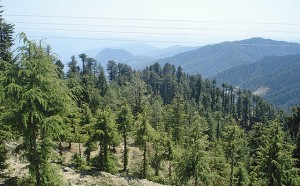 Mahasu Peak