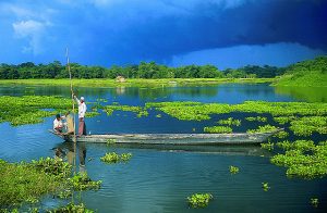 Majuli Island