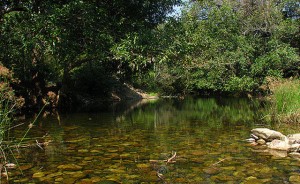 Nagalapuram