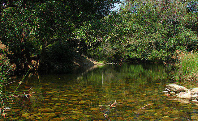 Nagalapuram