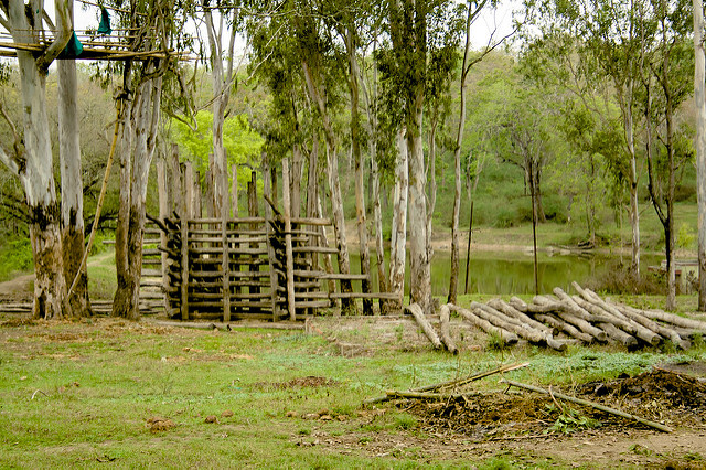  Nagarhole National Park