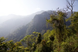 Nilgiri Mountain Railway