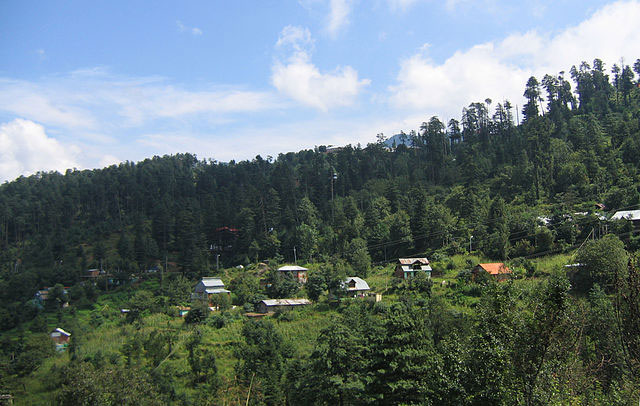 Patnitop