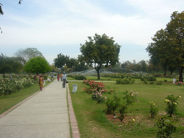 The Rose Garden