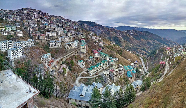 Shimla