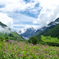 Valley of Flowers